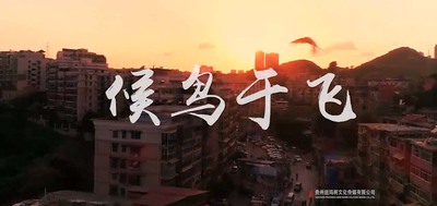 贵州企业单位微电影案例-候鸟于飞